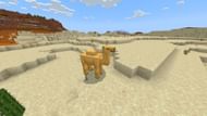 Camels will start spawning in the Deserts. (Image via Sportskeeda Gaming/Mojang Studios)